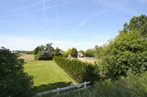 Outlet hondenuitlaat nieuwe thui